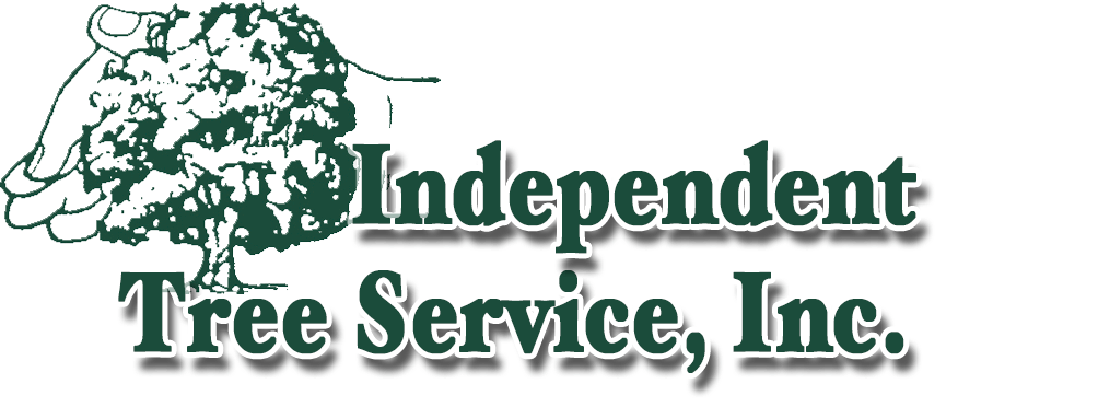11Independent Tree Service
