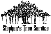 11Stephen's Tree Service